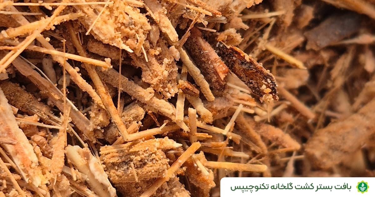 تکنوچیپس بستر کشت گلخانه آماده استفاده