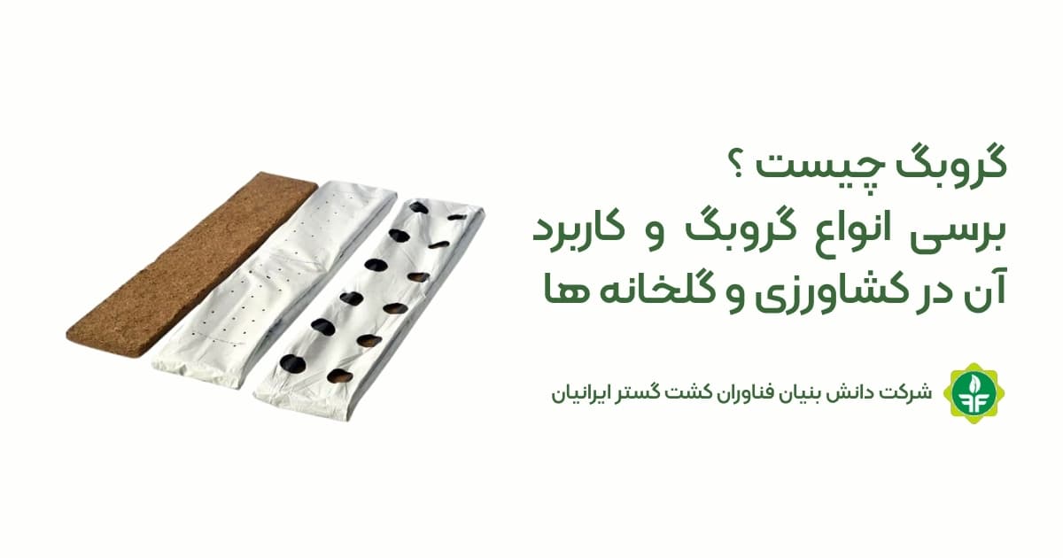 گروبگ چیست؟ بررسی انواع گروبگ و کاربرد آن در کشاورزی و گلخانه‌ها