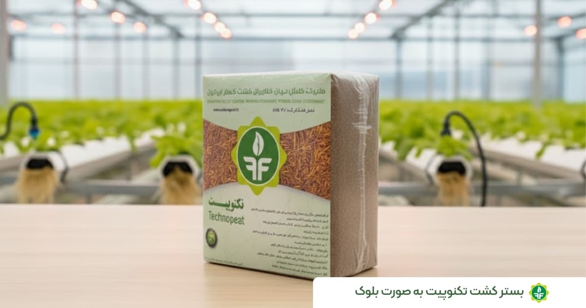 بستر کشت گلخانه تکنوپیت به صورت بلوک